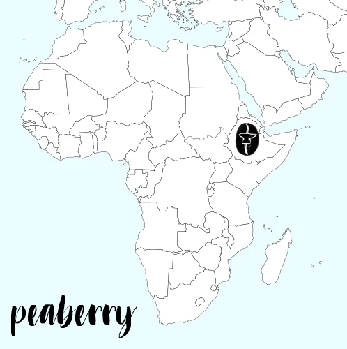 Peaberry Ethiopian Yiragacheffe Adado - Fully Washed - Micro lot