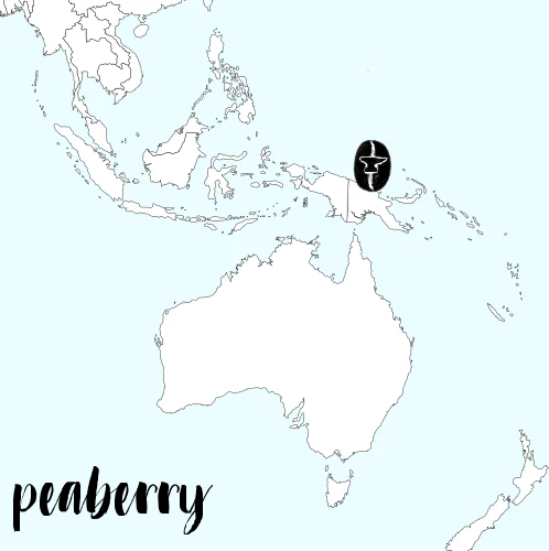 Peaberry Papua New Guinea Elimbari