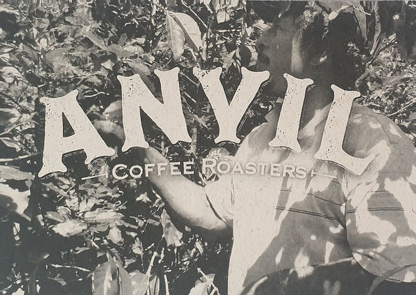 ANVIL Blend 1 - 3 Star Great Taste Award Winning Coffee Beans - Info Card Front