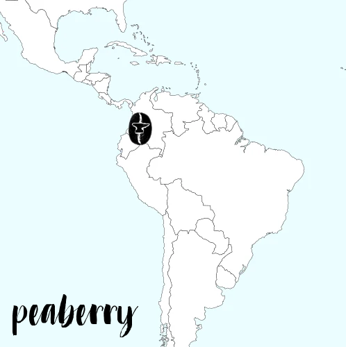 Peaberry Finca La Primavera ANAEROBIC Micro lot - Limited Availability