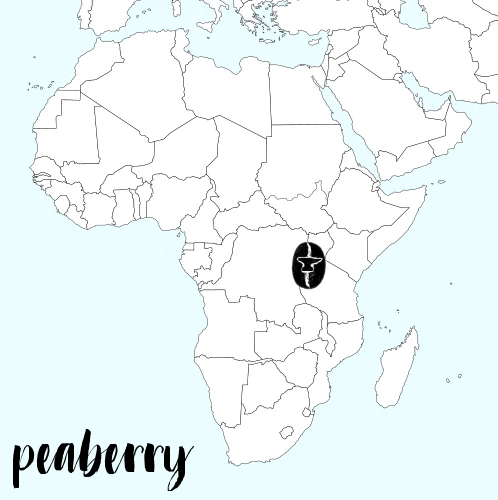 Peaberry Rwanda - BUF Umurage