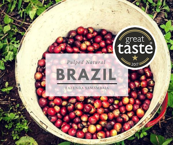 ANVIL BRAZIL FAZENDA SAMAMBAIA - 1* Star Great Taste Award Winner 2017